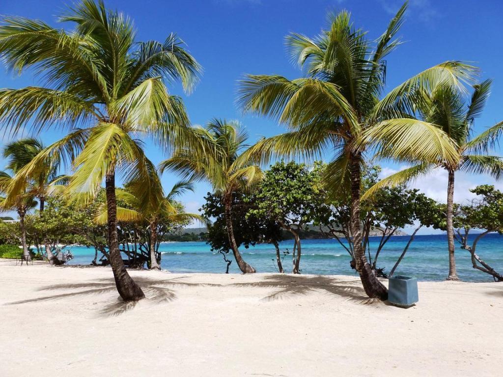 Sapphire Beach Resort And Marina East End  Eksteriør bilde